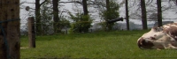 ledendag-04-2005 012